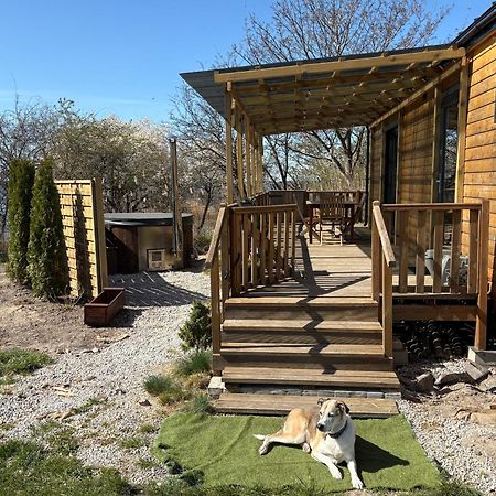 Tiny Beach House Heated And Airconditioned Wapnica  Extérieur photo